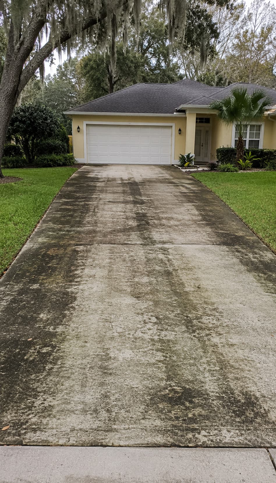 Fernandina residential concrete driveway with heavy Florida mildew before pressure washing